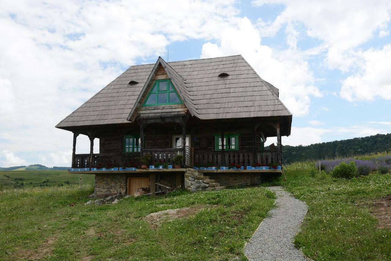 Glod  Casa Glod旅馆 外观 照片